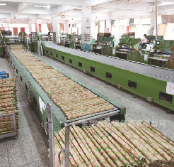 17196646335_1287875408