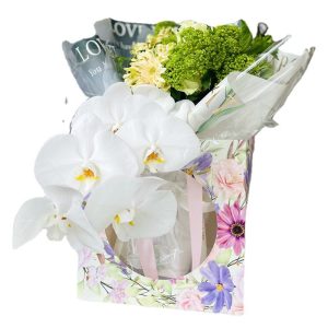 Papier cadeau – Image 5